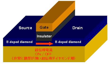 LSI���w�z���ւ�CNT���p