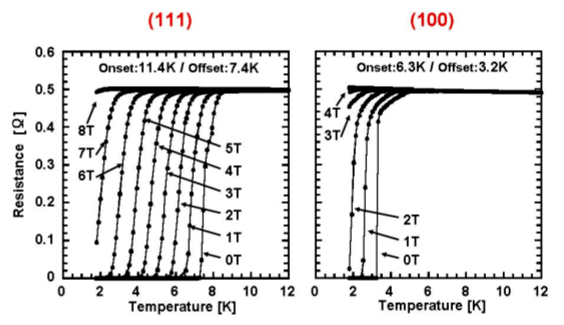 LSI���w�z���ւ�CNT���p