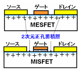 �r�A�\�����琬��������CNT��(a) SEM��, (b) TEM��