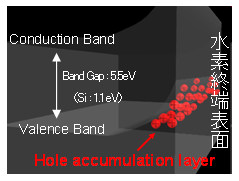 LSI���w�z���ւ�CNT���p